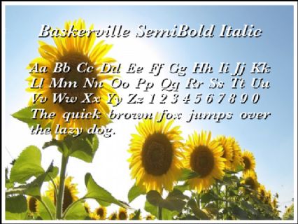 Baskerville SemiBold Italic Font
