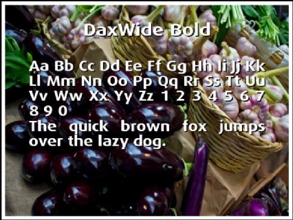 DaxWide Bold Font Preview