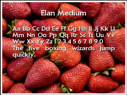 Elan Medium Font Preview