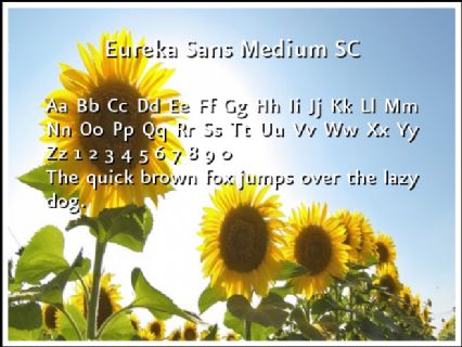 Eureka Sans Medium SC Font Preview