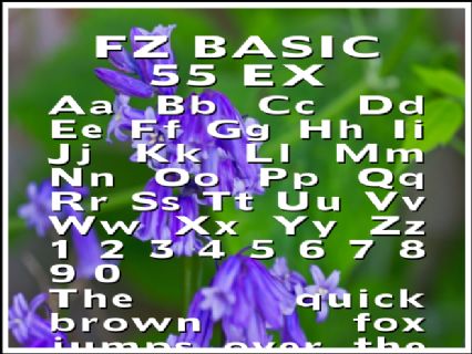 FZ BASIC 55 EX Font Preview