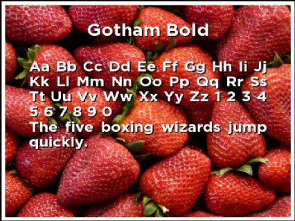 Gotham Bold Font