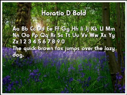 Horatio D Bold Font Preview