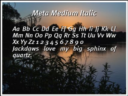 Meta Medium Italic Font Preview