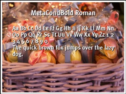 MetaCondBold Roman Font Preview
