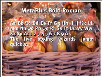 MetaPlus Bold Roman Font