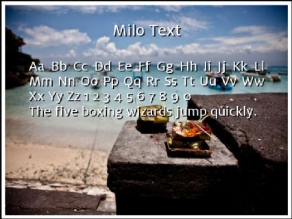 Milo Text Font