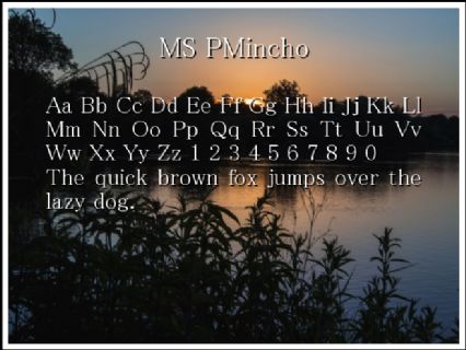 MS PMincho Font