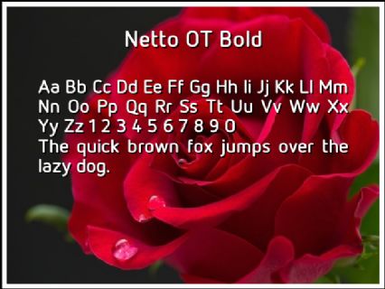 Netto OT Bold Font Preview