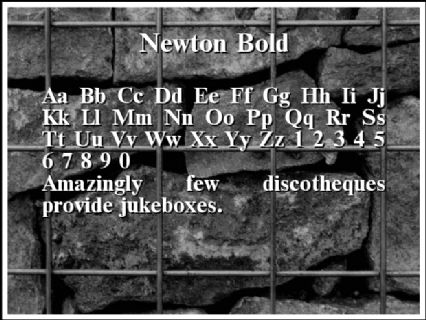 Newton Bold Font