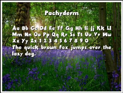 Pachyderm Font Preview