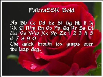 PaloraSSK Bold Font Preview