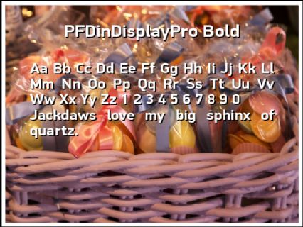 PFDinDisplayPro Bold Font Preview