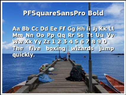 PFSquareSansPro Bold Font Preview