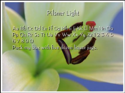 Pilsner Light Font Preview