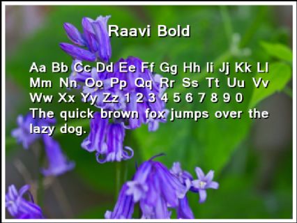 Raavi Bold Font