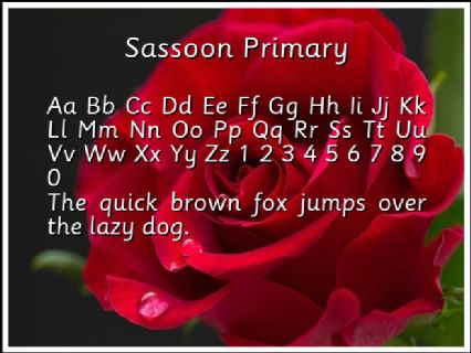 Sassoon Primary Font Preview
