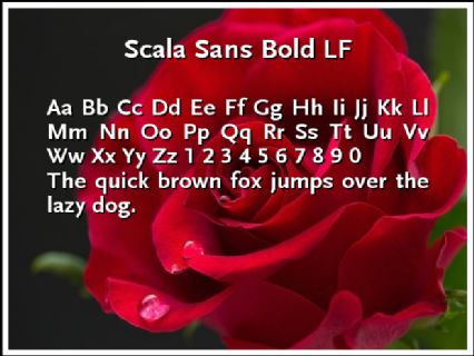 Scala Sans Bold LF Font Preview