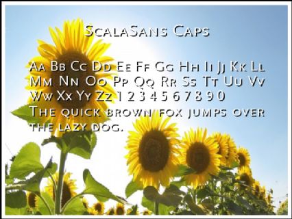 ScalaSans Caps Font Preview