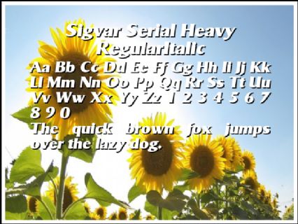 Sigvar Serial Heavy RegularItalic Font Preview