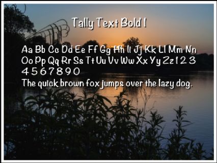 Tally Text Bold 1 Font Preview