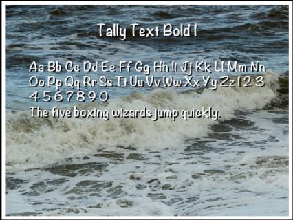 Tally Text Bold 1 Font