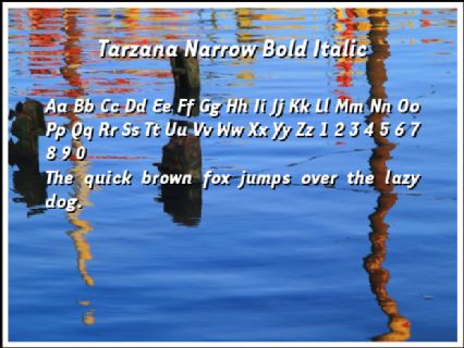 Tarzana Narrow Bold Italic Font Preview