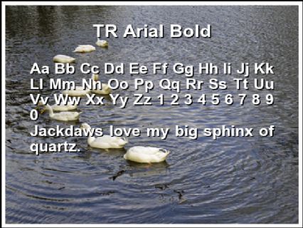 TR Arial Bold Font