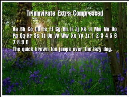 Triumvirate Extra Compressed Font Preview