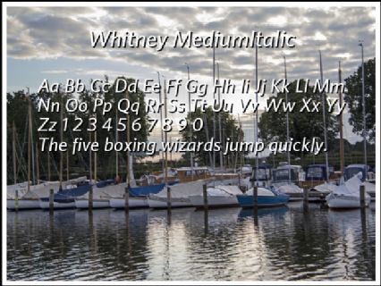 Whitney MediumItalic Font Preview