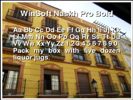 WinSoft Naskh Pro Bold Font Preview