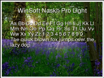 WinSoft Naskh Pro Light Font