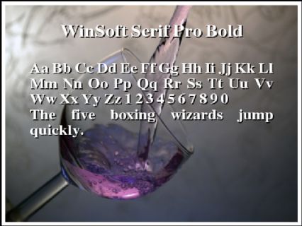 WinSoft Serif Pro Bold Font