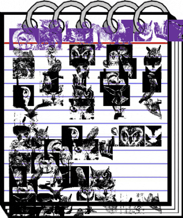 AParliamentofOwls2 Regular animated font preview AParliamentofOwls2 Regular animated font preview