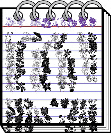 dt Regular animated font preview