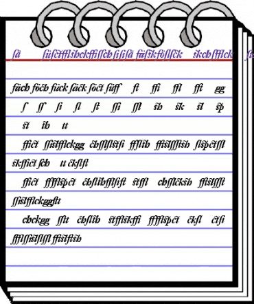 DTL Fleischmann D Alternative Bold Italic animated font preview
