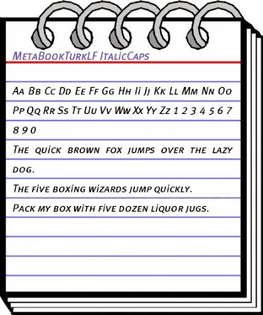 MetaBookTurkLF Medium animated font preview