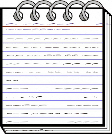 Saltines Swash Regular animated font preview