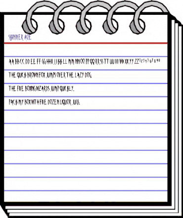 Skinner AOE Regular animated font preview Skinner AOE Regular animated font preview