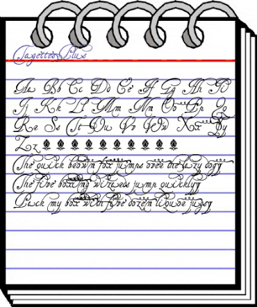 TagettesPlus Regular animated font preview TagettesPlus Regular animated font preview